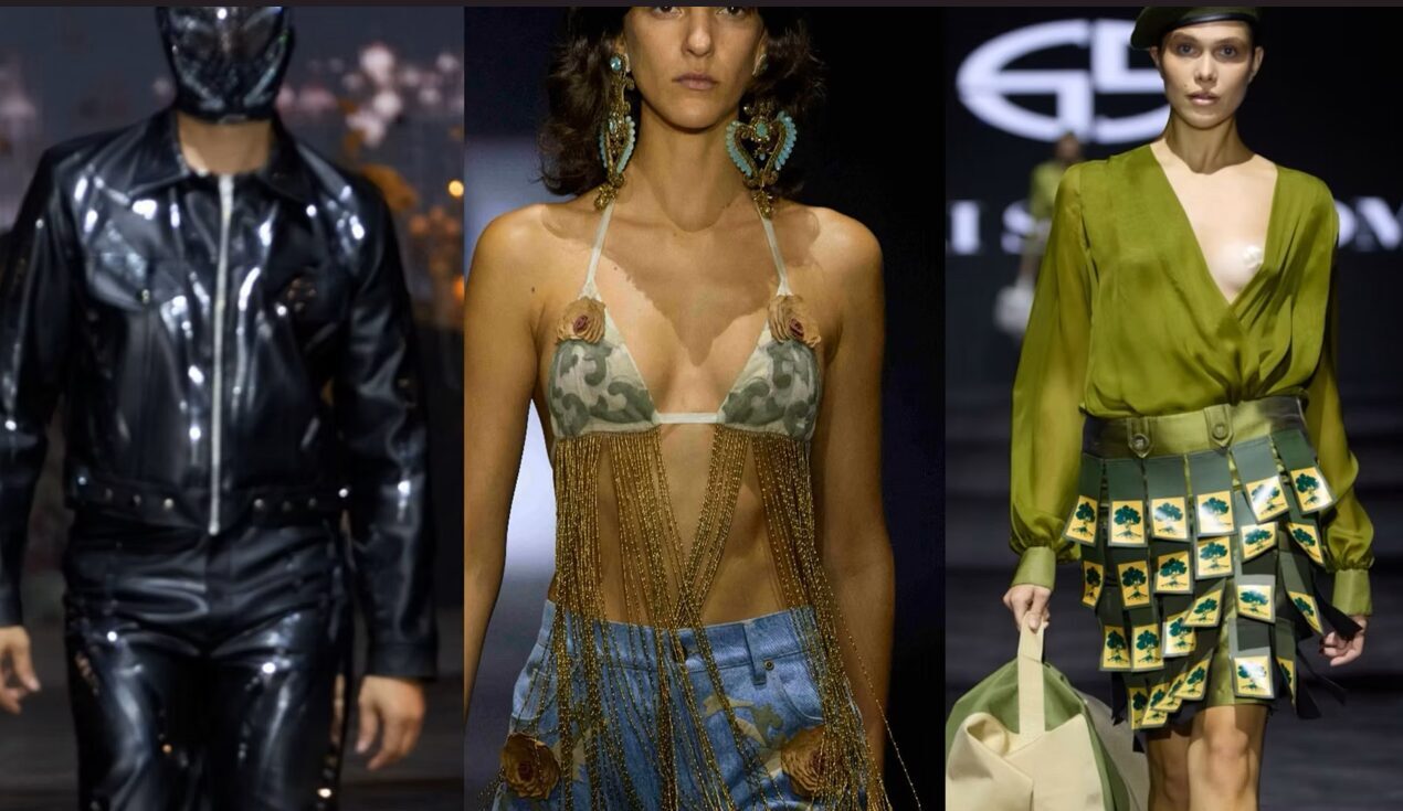 צילום מסך 2025-11-13 142120